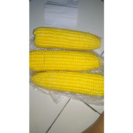 

Jagung Manis