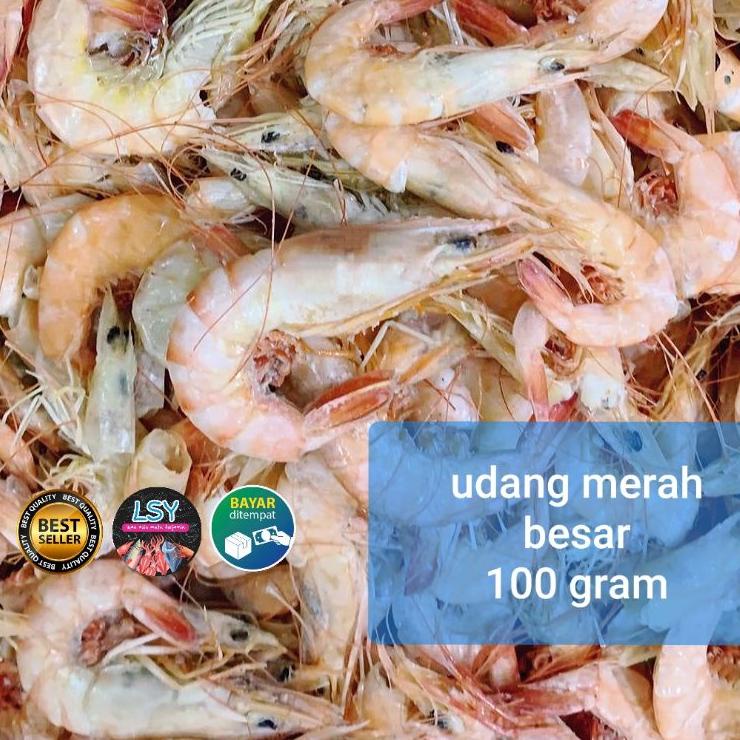 

Terlaku.../ udang merah besar 100gram