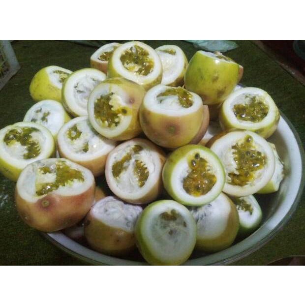 

NEW Buah markisa 1 KG segar langsung petik(ada selalu) ♖ 891