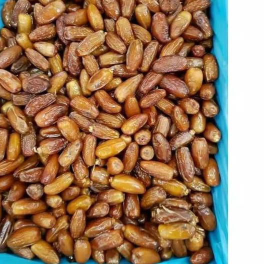 

SALE✅Kurma palm fruit madu 1 kg|KD3