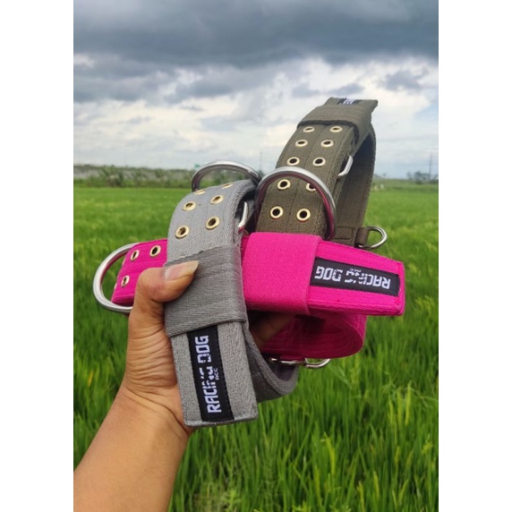 kalung anjing pitbull sport