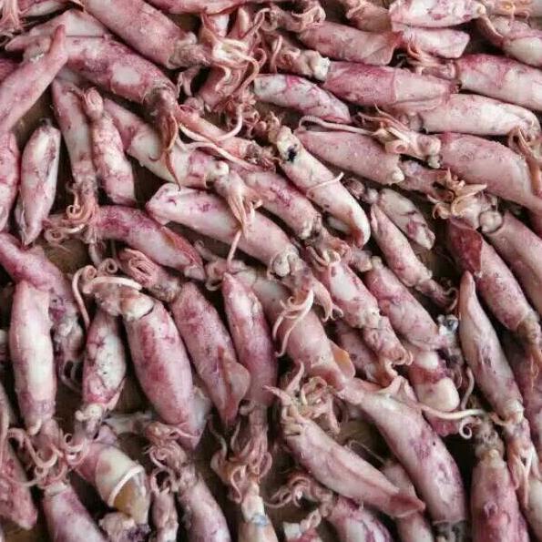 

シ OBRAL!!!Cumi baby asin kering 200 gram ↗