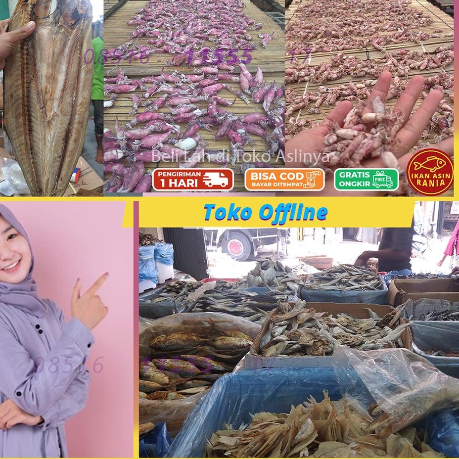 

Big Sale PROMO Cumi Asin Sedang 4-7Cm 1kg & 500gr / Ikan Asin Jakarta / Sontong Rebus Mentah Siap Masak 41 ↓