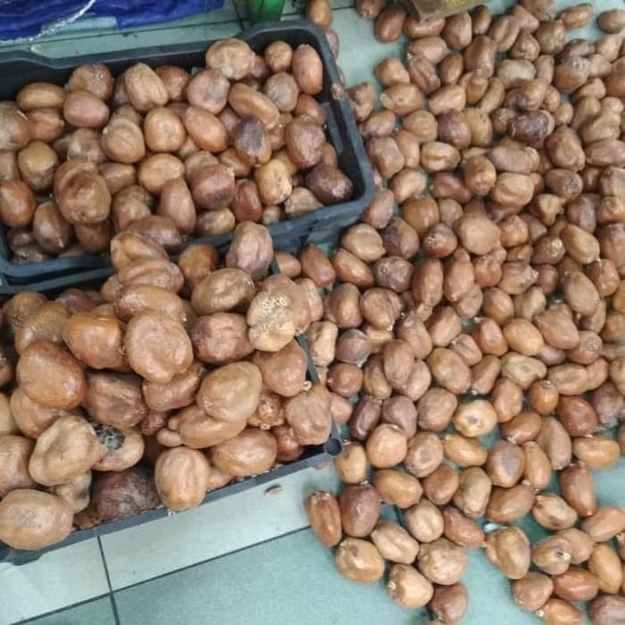 

1KG BUAH ZURIAT/BUAH ZURIYAT/DOUM/PROMIL ORIGINAL BEST SELLER