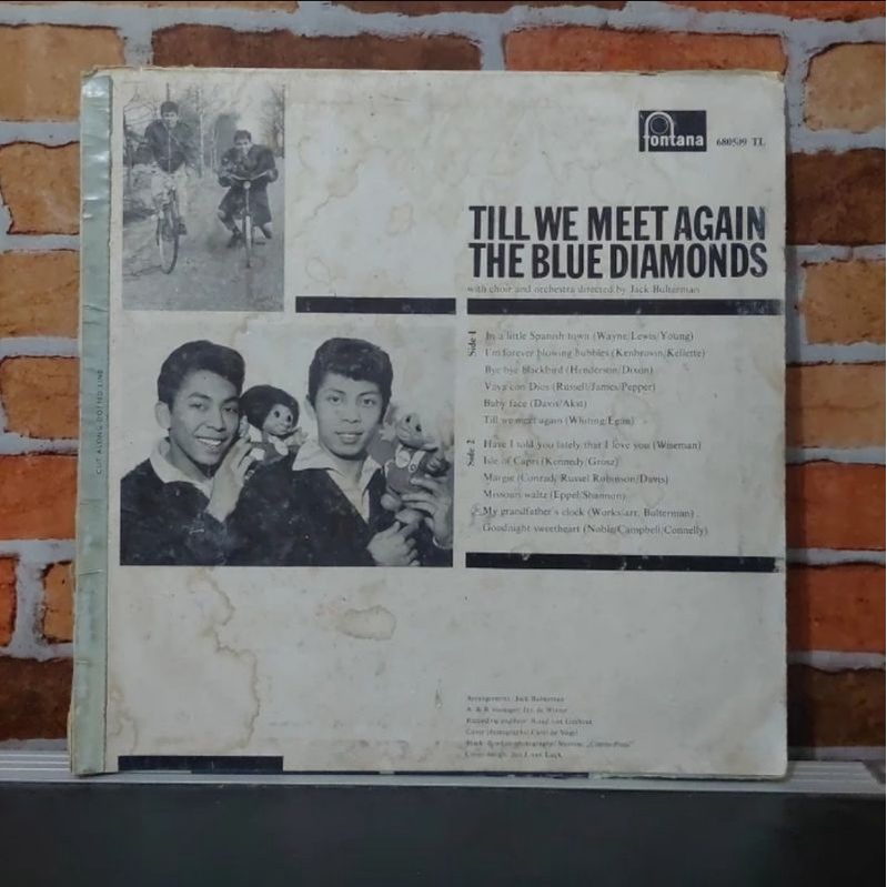Vinyl Piringan Hitam 12&quot; Till We Meet Again