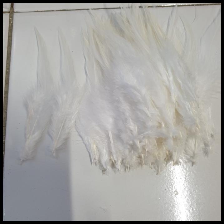 Promo Bulu Ayam Putih Polos Panjang