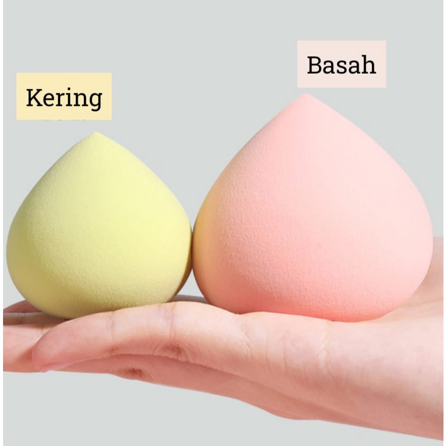 Spon Peach Beauty Blender  dalam Wadah Plastik Untuk Foundation