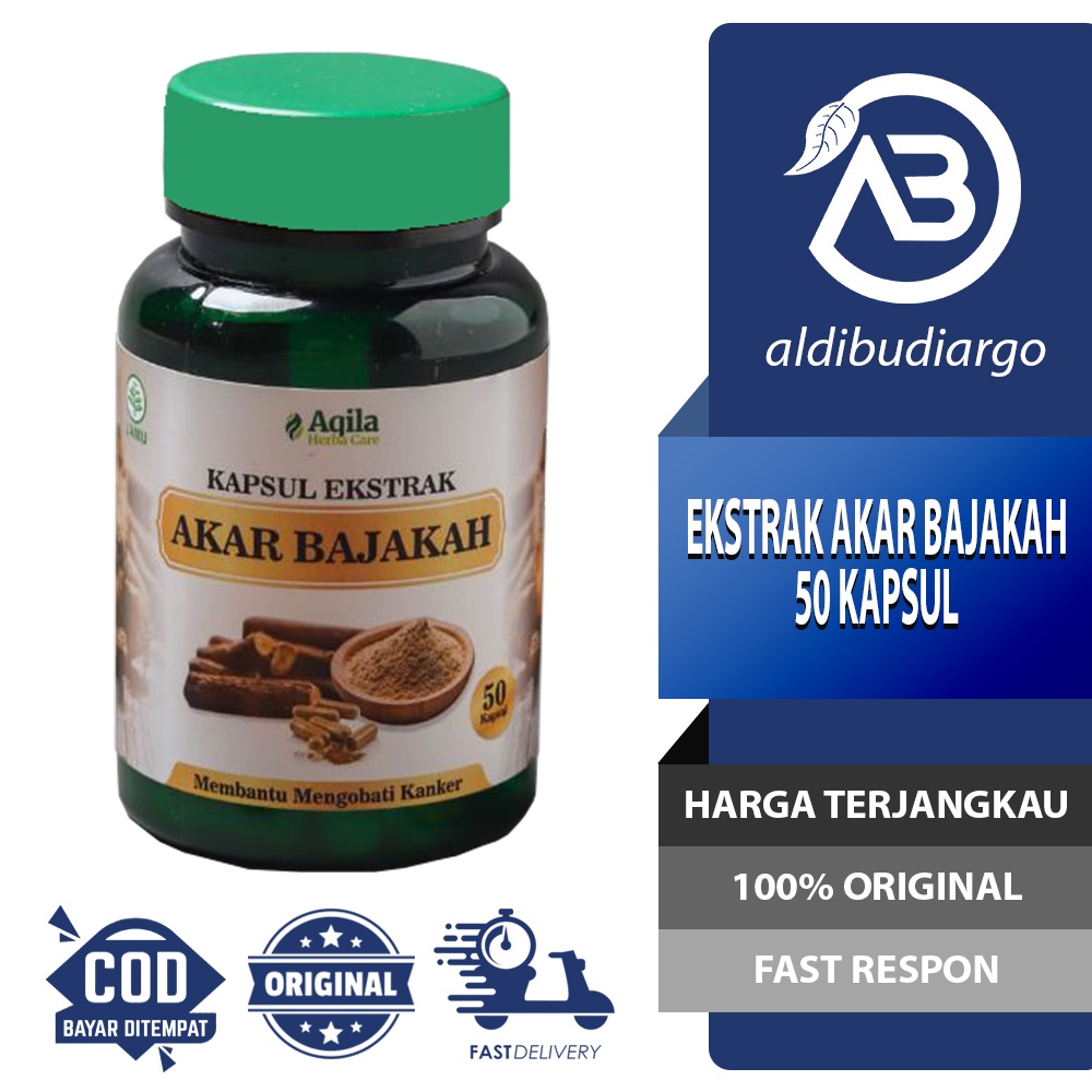KAPSUL BAJAKAH AQILA ARBAIN 50 KAPSUL EKSTRAK AKAR BAJAKAH