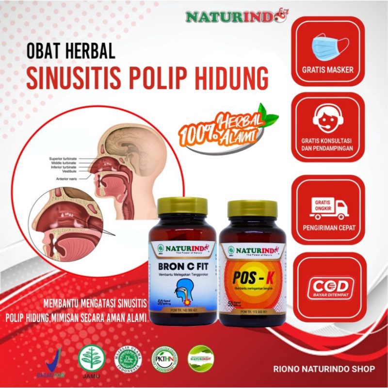 Jual Obat Sinusitis Polip Hidung Obat Sinusitis Paling Ampuh Obat Polip