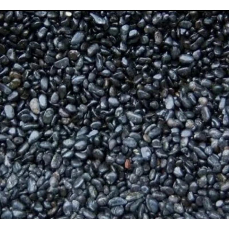 batu koral sikat hitam/pancawarna 10kg karungan