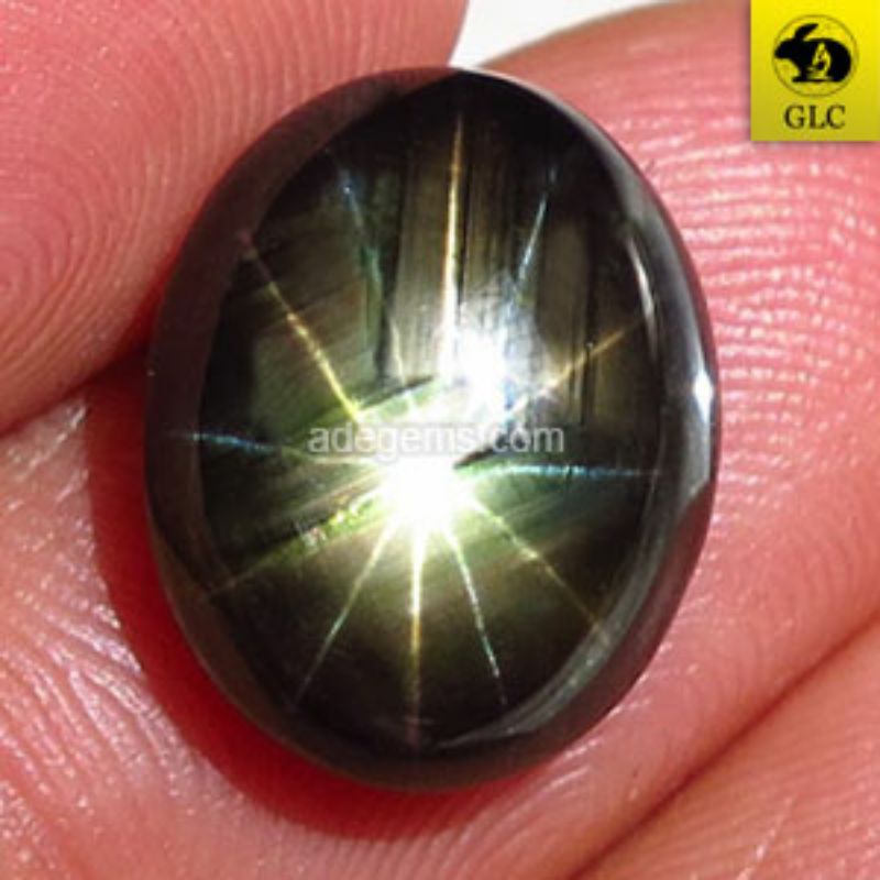 SS-255 Batu Permata Black Star Sapphire 12 Rays Safir Hitam Bintang 12 Sinar Thailand Natural 11.55 