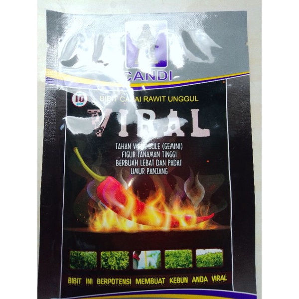 cabe rawit viral