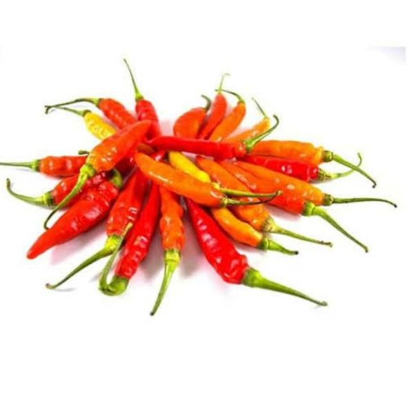 

ズ Cabai Rawit Merah / Cabe Rawit Merah 250 gram ㆄ