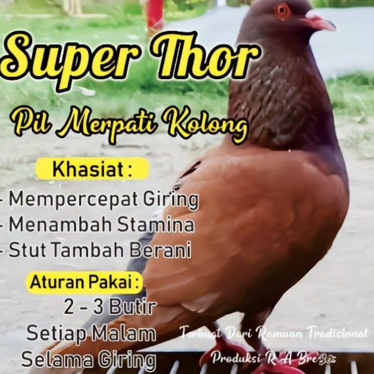 

【MEGA SALE】 Super thor jamu merpati isi 120 butir terlaris