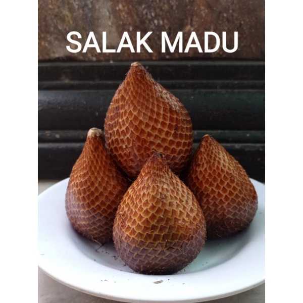 

SALAK MADU GRADE A 1Kg MANIS ASLI SLEMAN