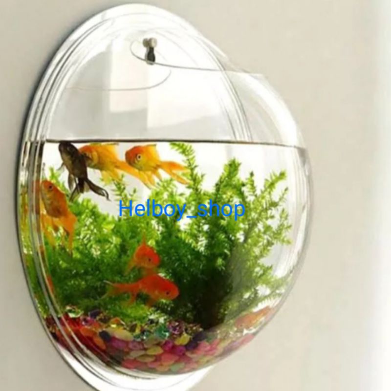 Aquarium Gantung dinding hanging mini bahan aktilik