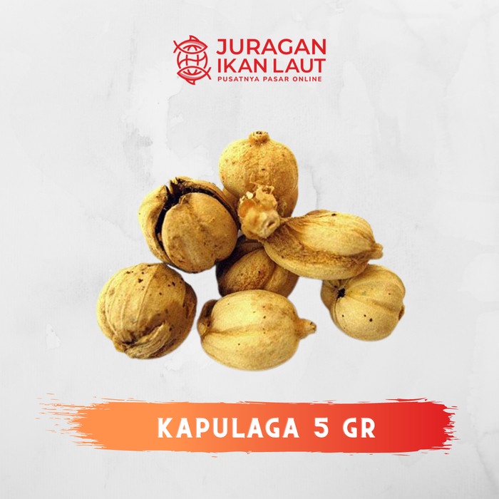 

Kapulaga Berkualitas - 5 Gram