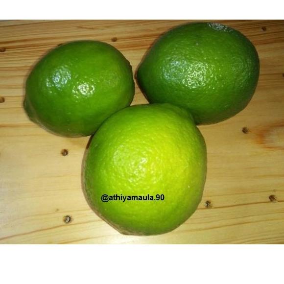 

BARANG TERUPDATE Jeruk Lemon California Organik 1 kg ( 4-8biji) 863