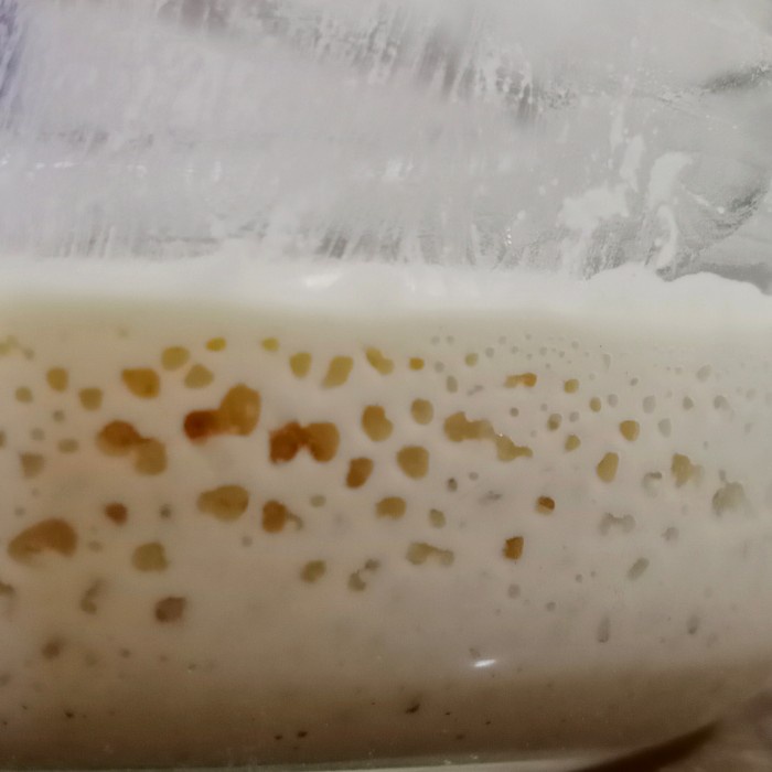 

Ragg Sourdough Starter Gluten Free /Ragi Alami Gluten Free @30Gr