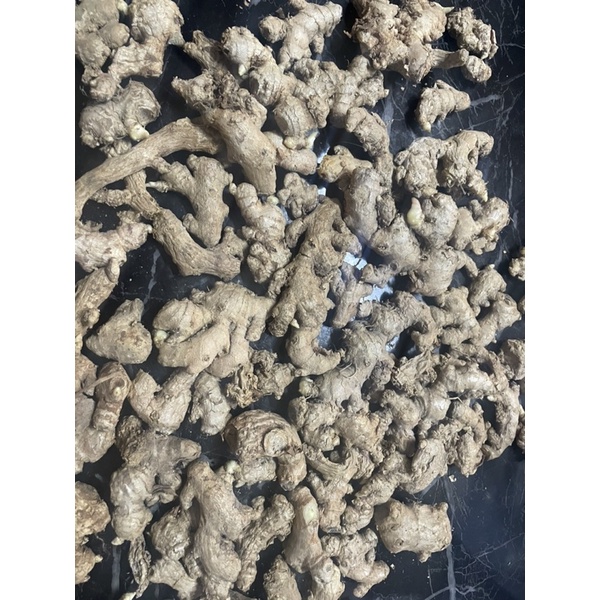 

jahe emprit kecil