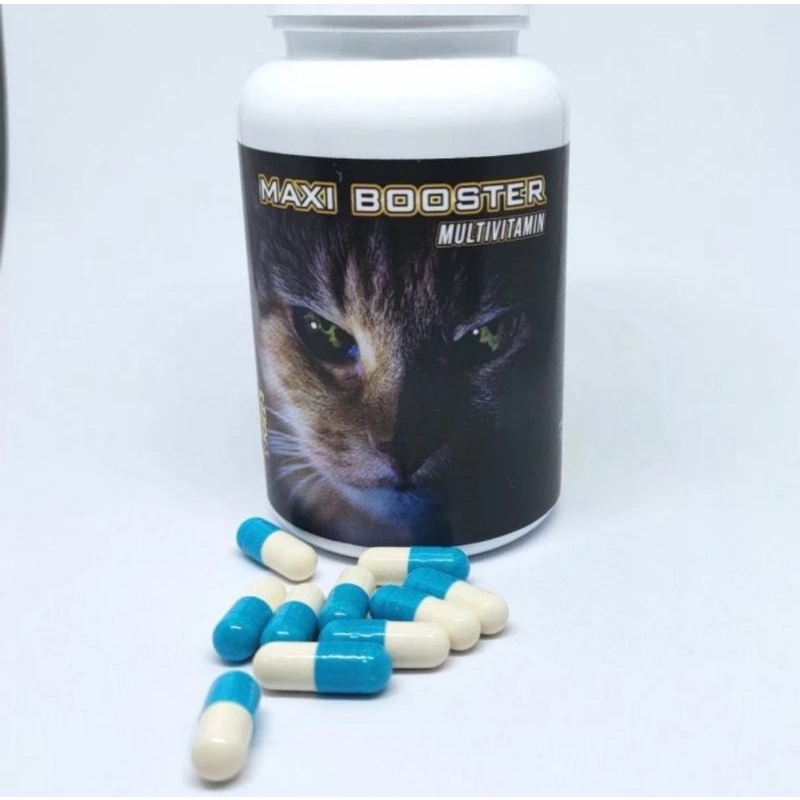 Maxi Booster Ecer Per Kapsul Multi Vitamin Kucing