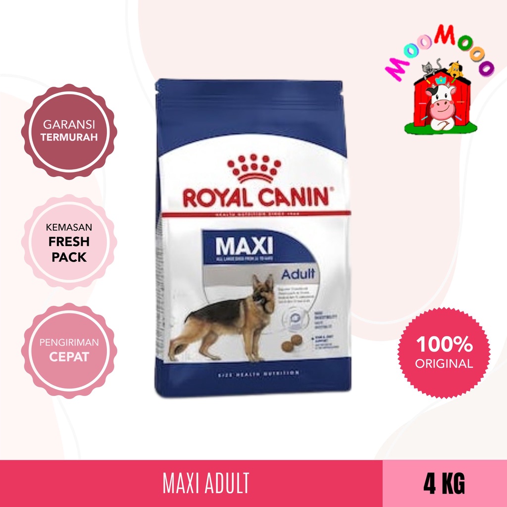 Royal Canin Maxi Adult 4Kg - Makanan Anjing / Dog Food