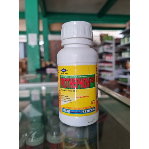 PROTHEPON 480 SL 100 ML