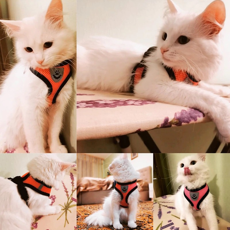 Rompi Tali Tuntun untuk Anjing / Kucing/ Harness Adjustable