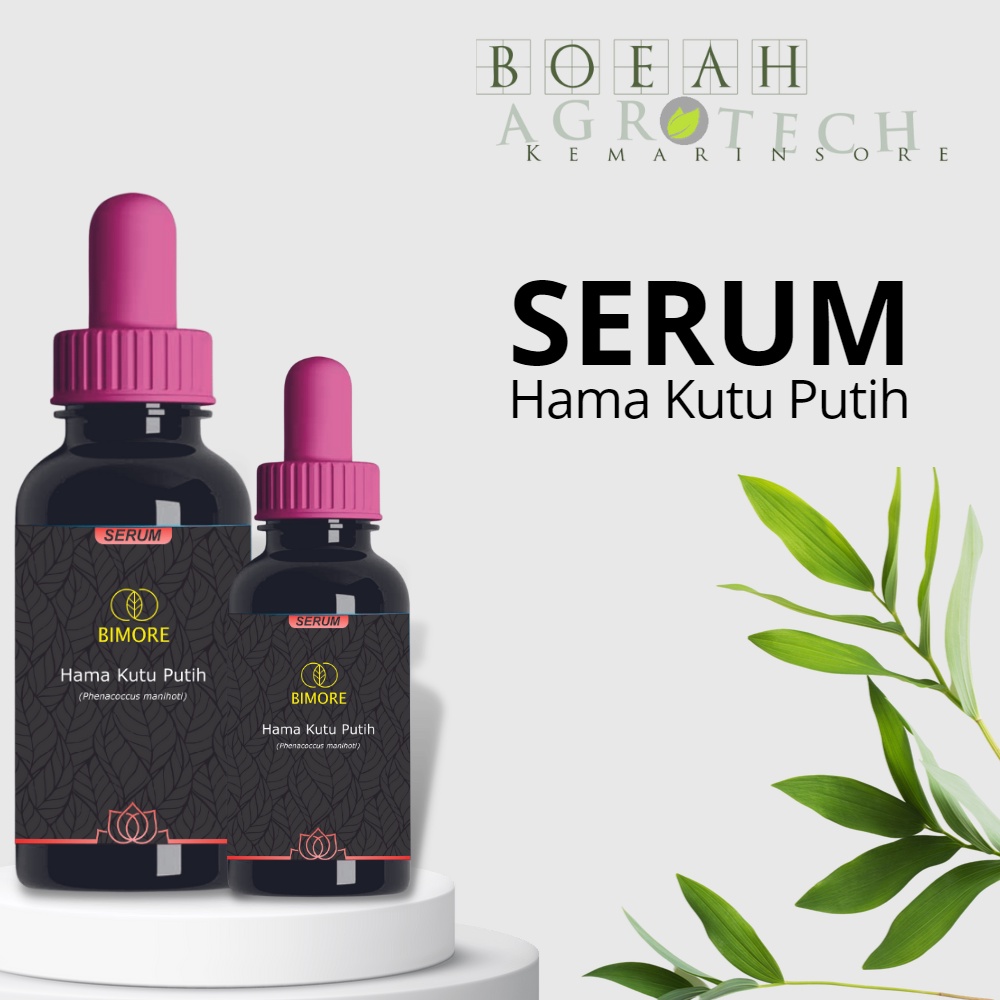 BIMORE Serum pembasmi hama kutu putih / Obat Hama Anti Kutu