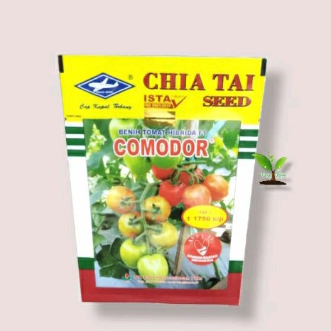 Benih Tomat Hibrida Comodor F1 5gram