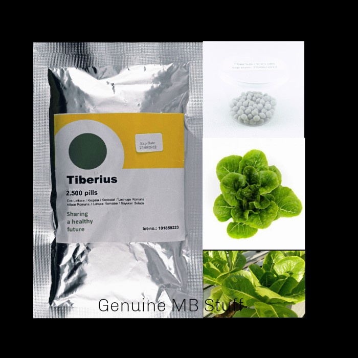 ELV32 Benih Bibit Lettuce - Selada Romaine Tiberius RZ Repack 100 pills 1991