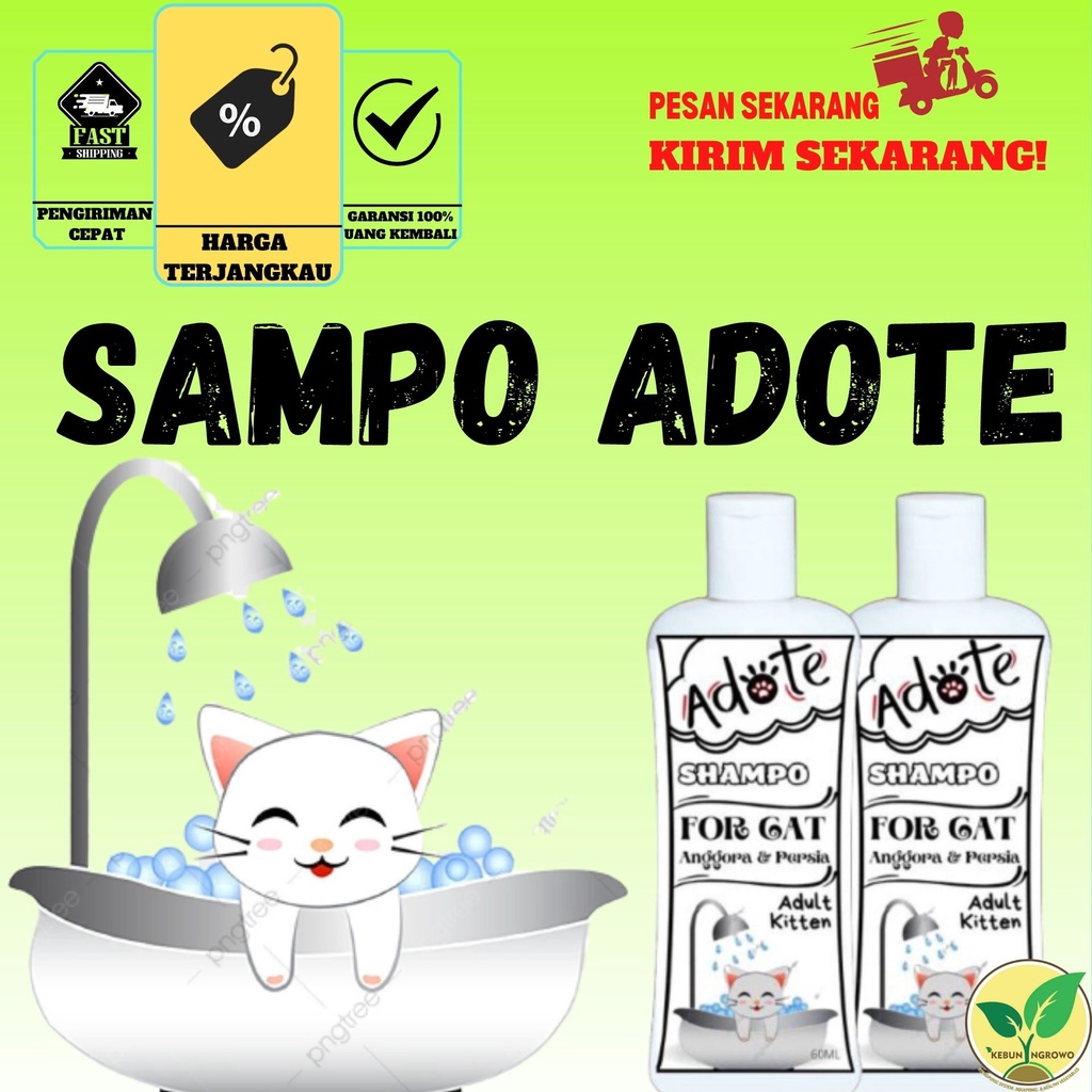 Shampo Sampo Kucing Sampo Kucing Anggora Persia Shampoo Kucing Adote
