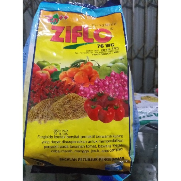 Fungisida ZIFLO 76WG800gr