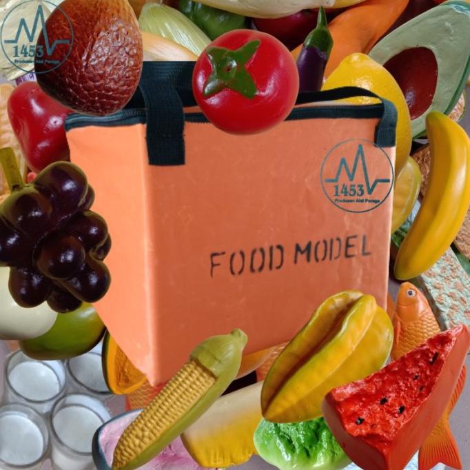 [Produsen] Food Model / Gizi Harian-51 Jenis / Phantom / Manikin /