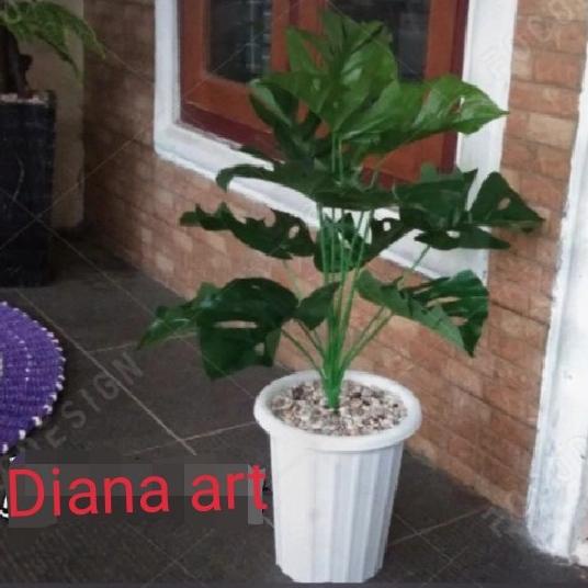 tanaman plastik#monstera latex#tanaman artificial jumbo