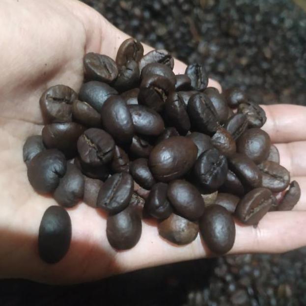 

ㆃ Biji Kopi Robusta Dark roast ⇃
