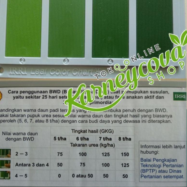 (H-Q5Q(❤) Bagan Warna Daun (BWD) untuk padi langsung kirim