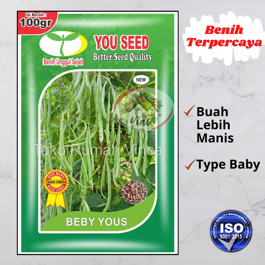 Jual Benih Bibit Buncis Legenda Gr You Seed Shopee Indonesia