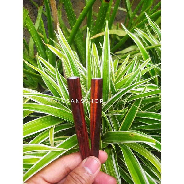 Pipa once Kayu sonokeling