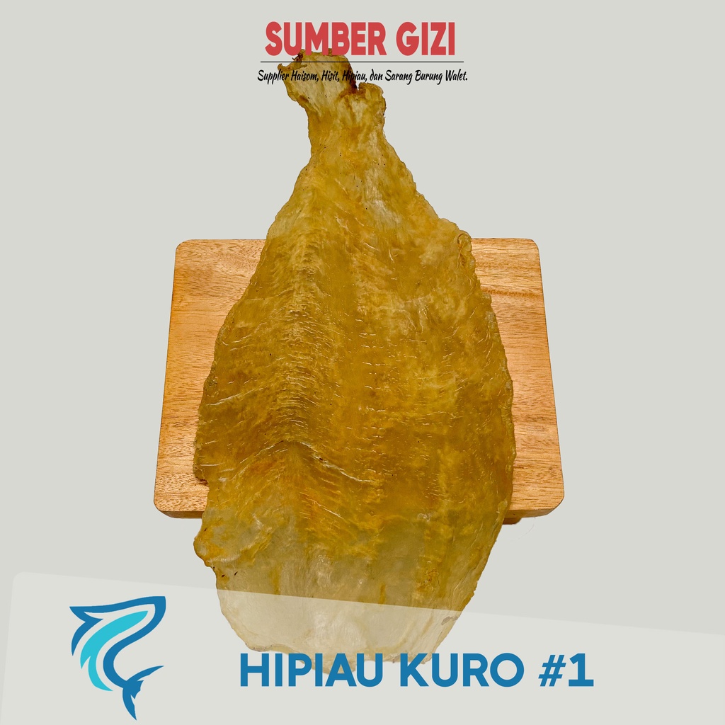 

YI PHIAU/ HIPIAU KURO/ HIPIO PERUT IKAN KURO 1/ GELEMBUNG IKAN KURO/ FISH MAW KURO