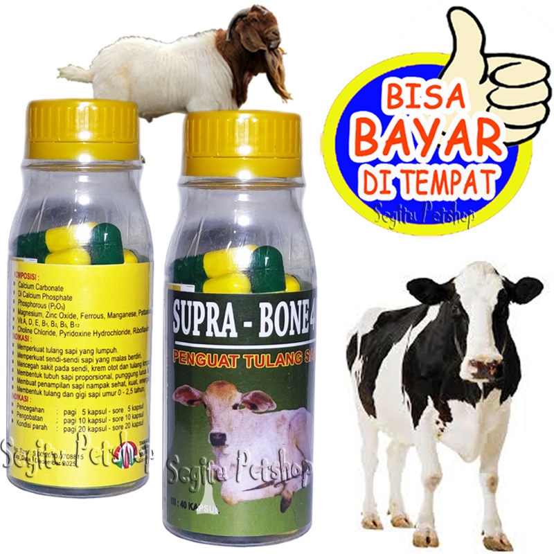 VITAMIN SAPI KAMBING OBAT LUMPUH PENGUAT TULANG SUPRA BONE 40