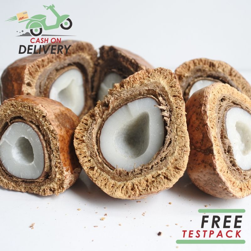 

Buah Zuriat Mesir Belah 1 Kg - Buah Zuriat Doum Belah 1 Kg - | Buah Promil 1 Kg