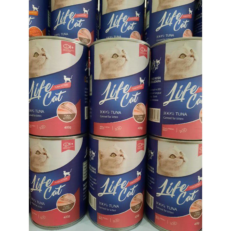 Life Cat Kitten Tuna