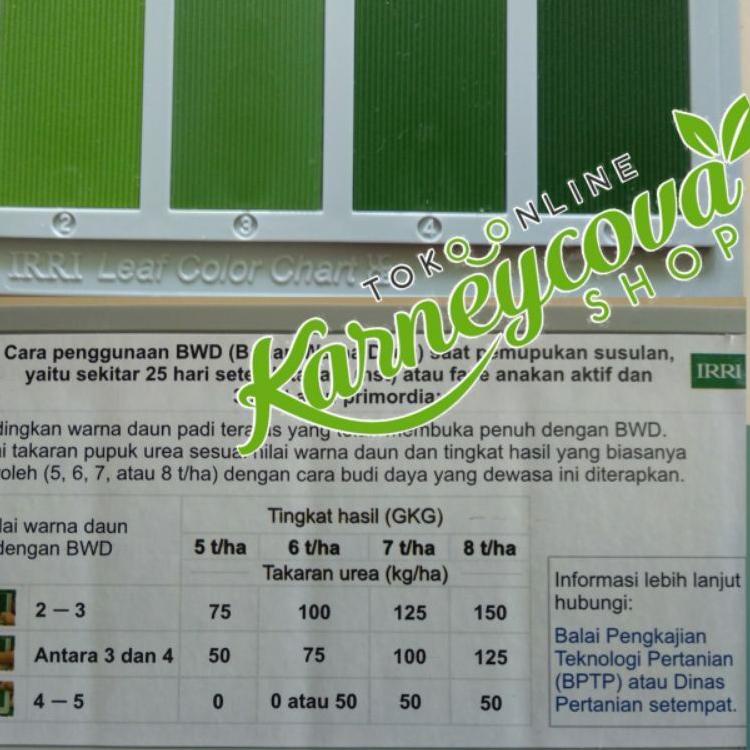 ((U-7-O > Bagan Warna Daun (BWD) untuk padi top produk