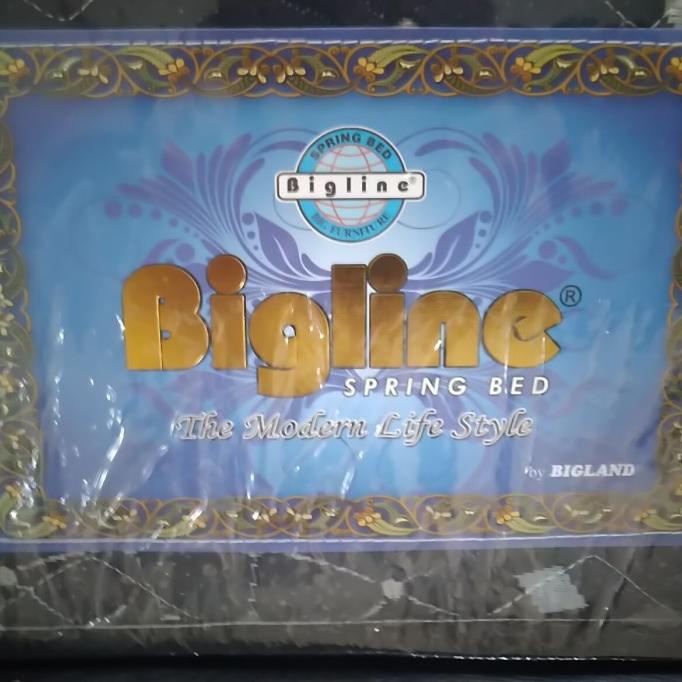 Springbed Bigline By Bigland -160X200 Full Set Divan Sandaran