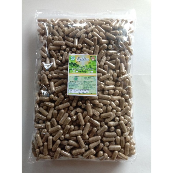 

KAPSUL HERBAL PEGAGAN/ANTANAN ISI 1000 KAPSUL HRAGA GROSIR