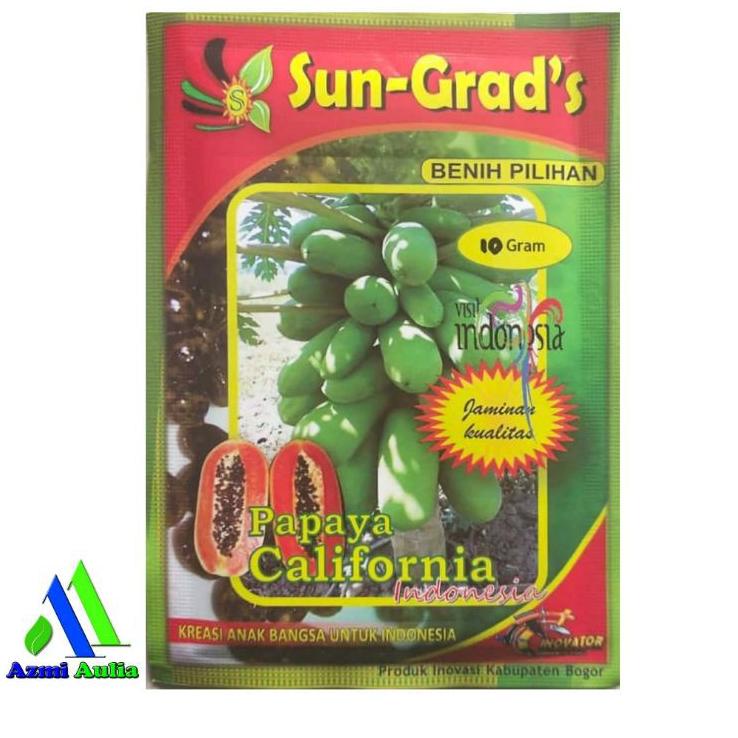 ➘✣✰ Benih Pepaya California SUN GRADS Isi Sekitar 500 Biji Benih Pepaya Bibit Pepaya Bibit Pepaya Ca