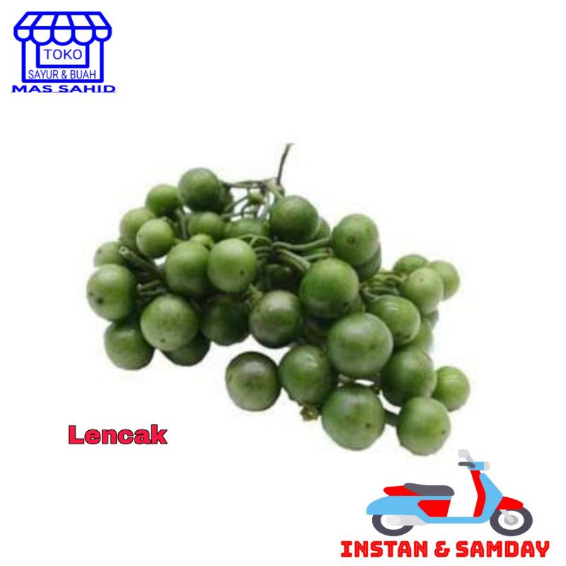 

Lencak Segar Leuncak 100 Gram