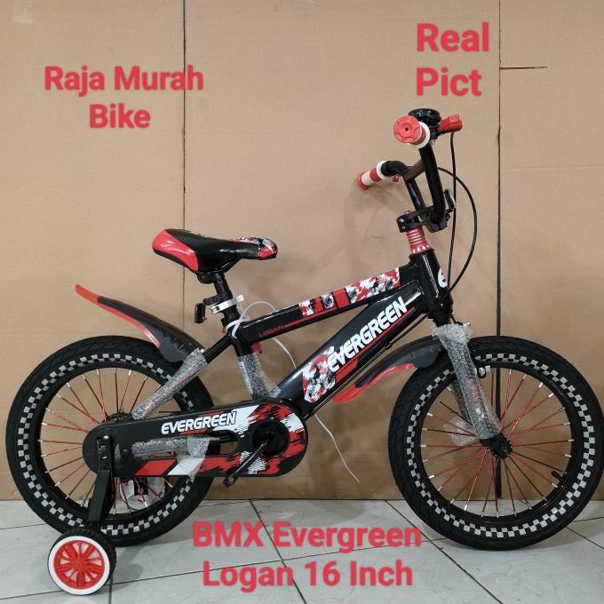Sepeda Anak Bmx Evergreen Logan 16 Inch Sepeda Bmx 16 Inch Evergreen #Original