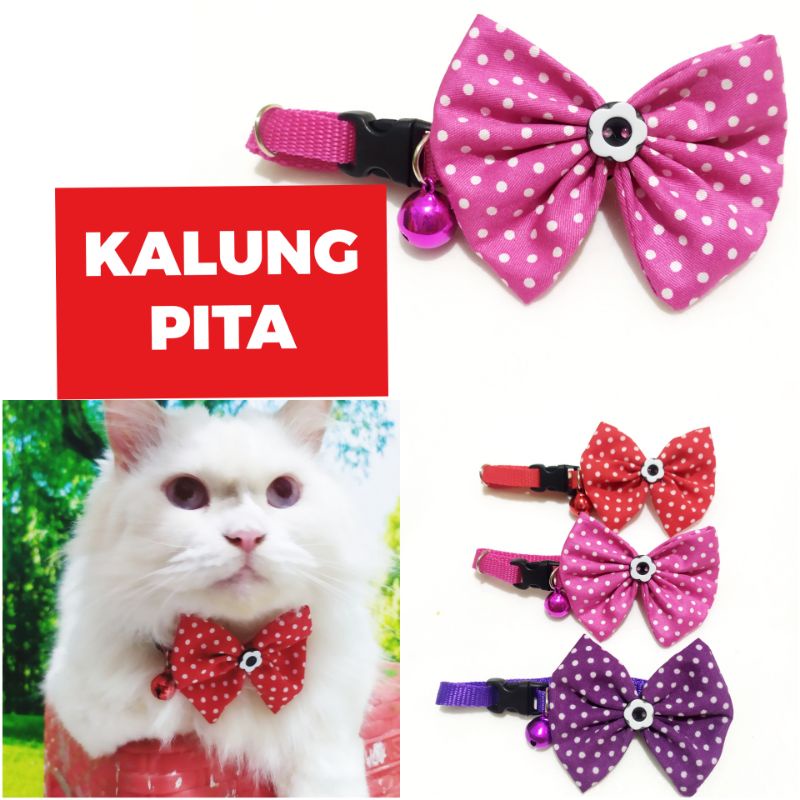 Kalung kucing PITA + LONCENG